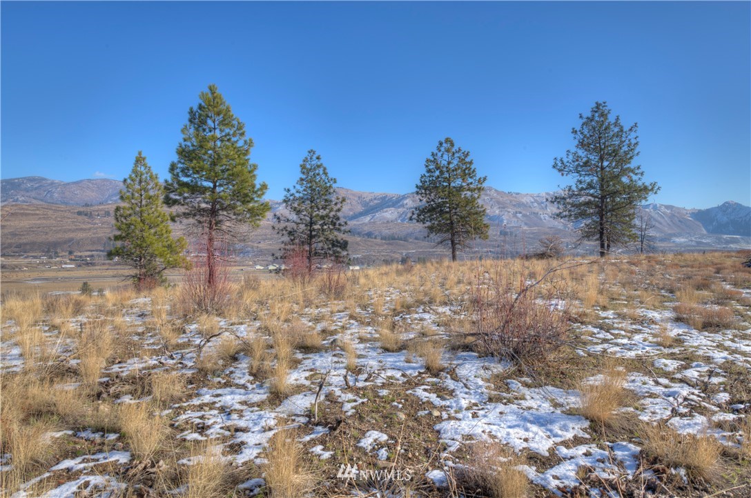 1 Rising Eagle Road, Unit RD Twisp, WA 98856 - Photo 5 of 40 a yard with mountain view