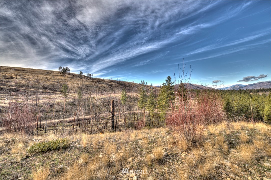 1 Rising Eagle Road, Unit RD Twisp, WA 98856 - Photo 6 of 40 a view of a yard