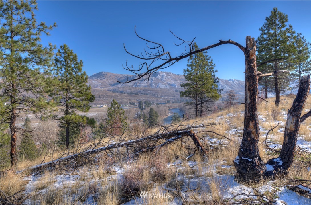 1 Rising Eagle Road, Unit RD Twisp, WA 98856 - Photo 7 of 40 a view of a yard in front of house