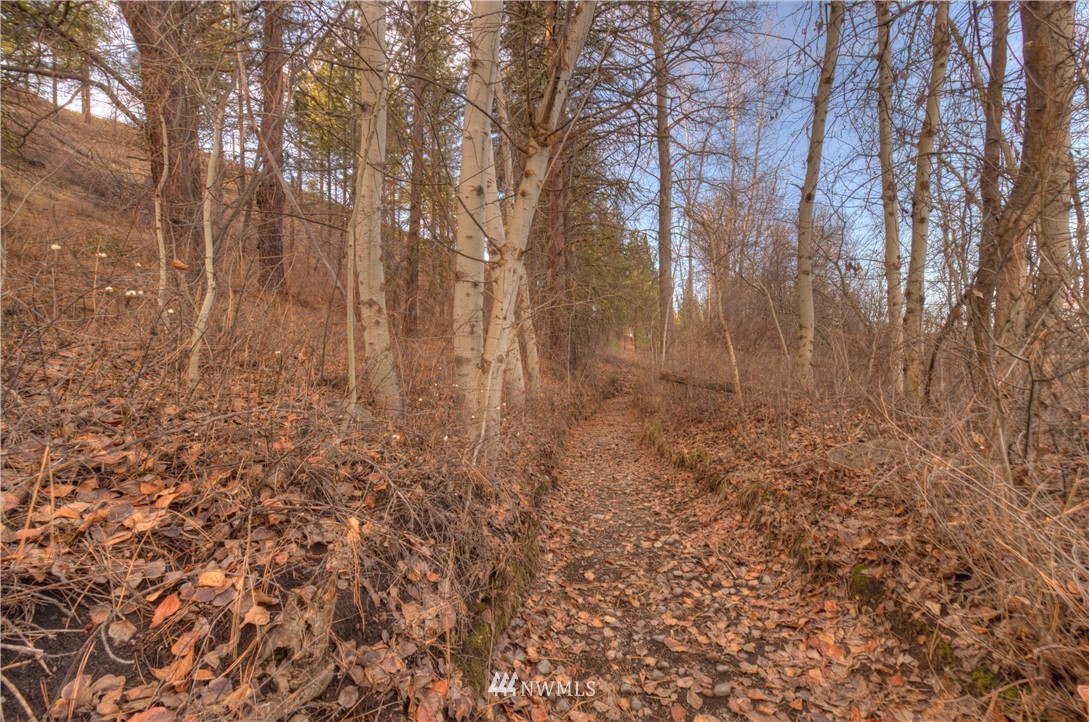 1 Rising Eagle Road, Unit RD Twisp, WA 98856 - Photo 8 of 40 a view of small yard