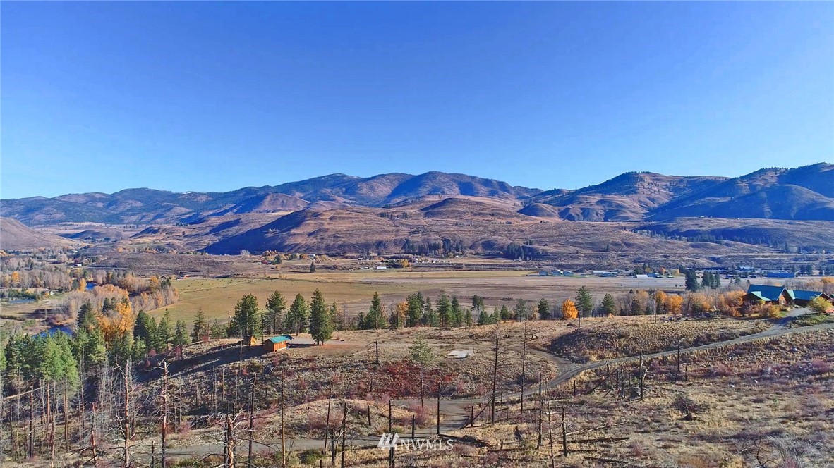 1 Rising Eagle Road, Unit RD Twisp, WA 98856 - Photo 9 of 40 a view of house with mountain view