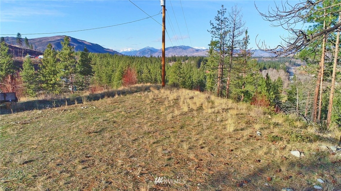 1 Rising Eagle Road, Unit RD Twisp, WA 98856 - Photo 10 of 40 a view of a road with an outdoor space