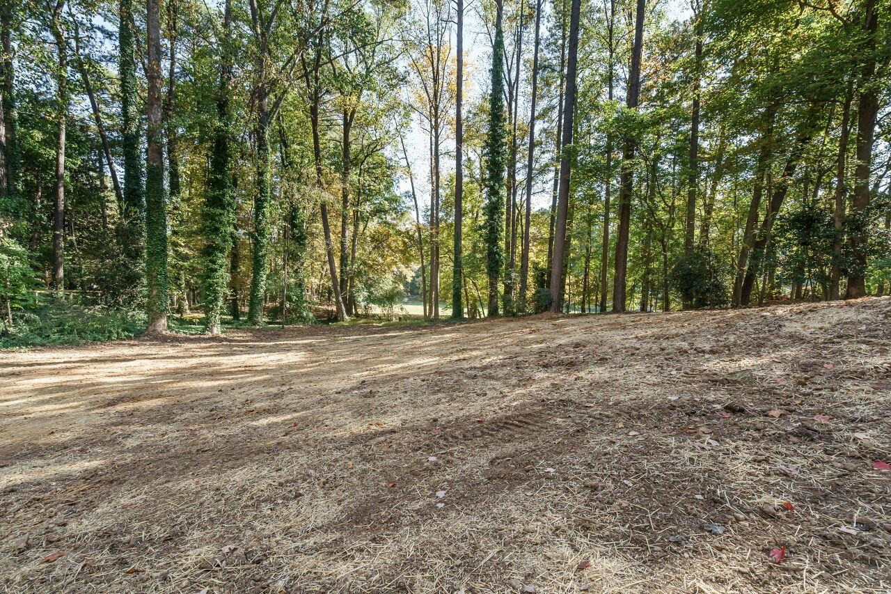 1436 Princess Anne Road Raleigh, NC 27607 - Photo 32 of 36 Backyard