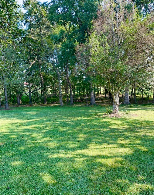 1030 Pine Ridge Lane Clarkrange, TN 38553 - Photo 11 of 30 a view of a park with large trees