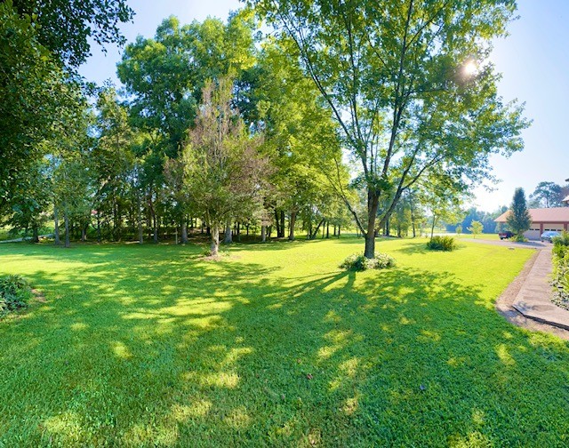 1030 Pine Ridge Lane Clarkrange, TN 38553 - Photo 10 of 30 a view of yard with green space