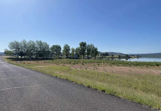 a view of a swimming pool and a yard
