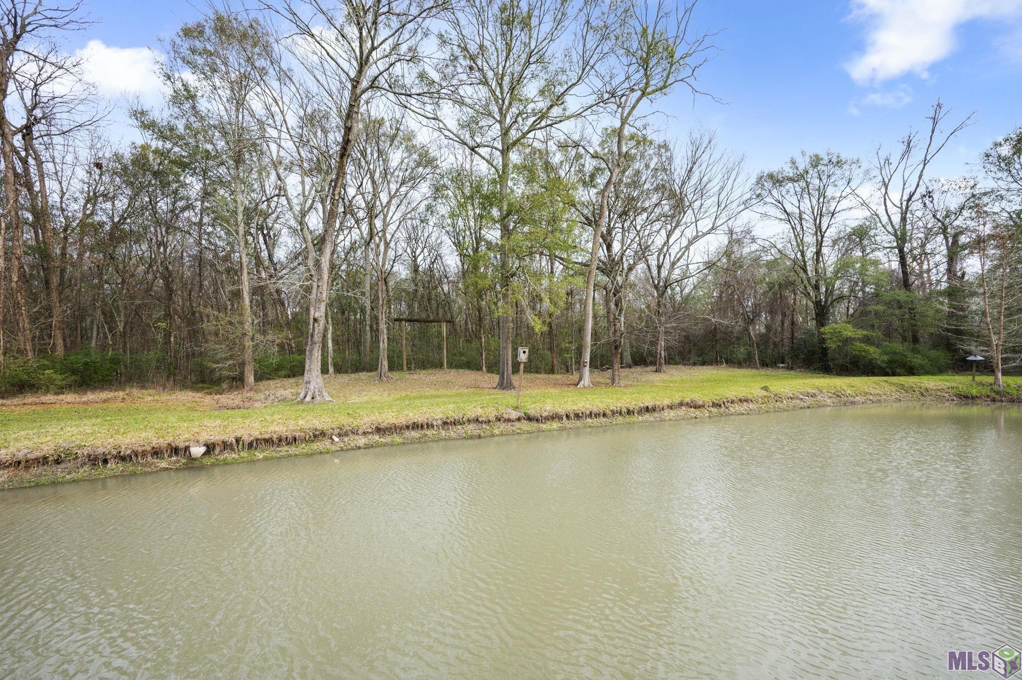 5775 Bayou Paul Road St. Gabriel, LA 70776 - Photo 30 of 44