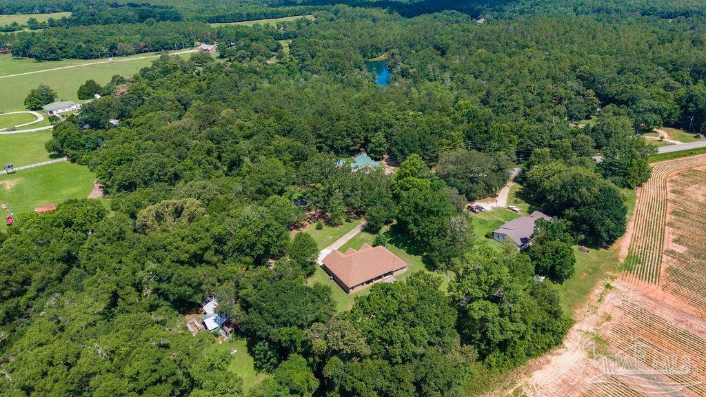 4254 Spring Street Jay, FL 32565 - Photo 31 of 45