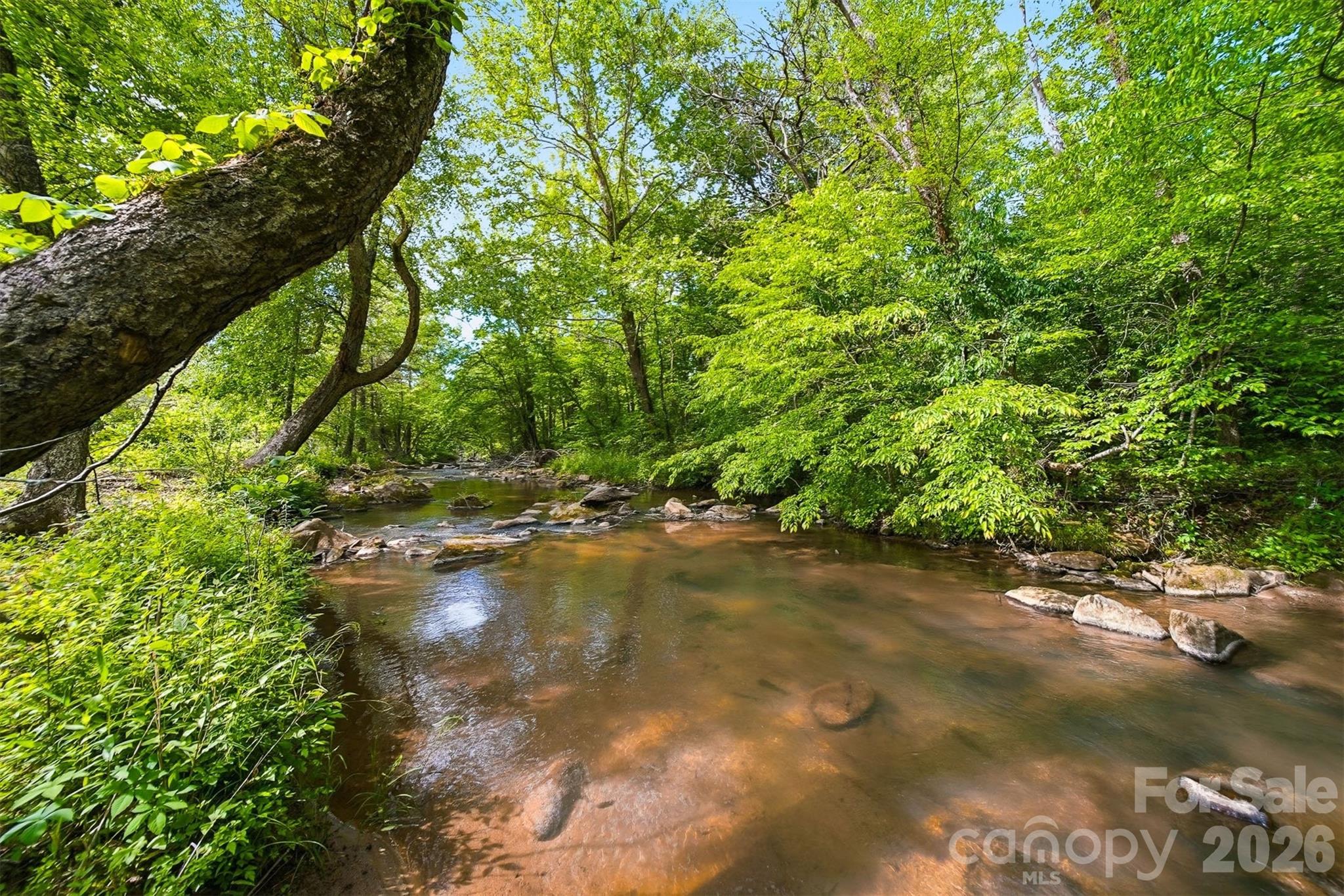4316 Grandin Road Lenoir, NC 28645 - Photo 40 of 48