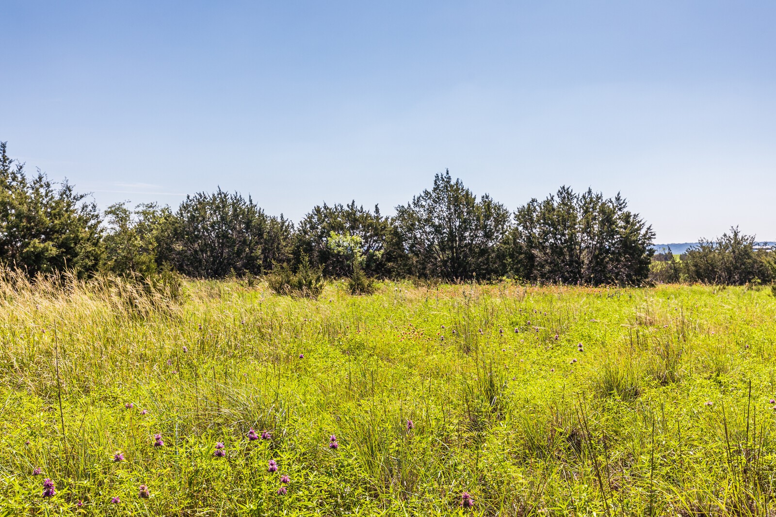 3300 County Road 3300 Kempner, TX 76539 - Photo 17 of 24