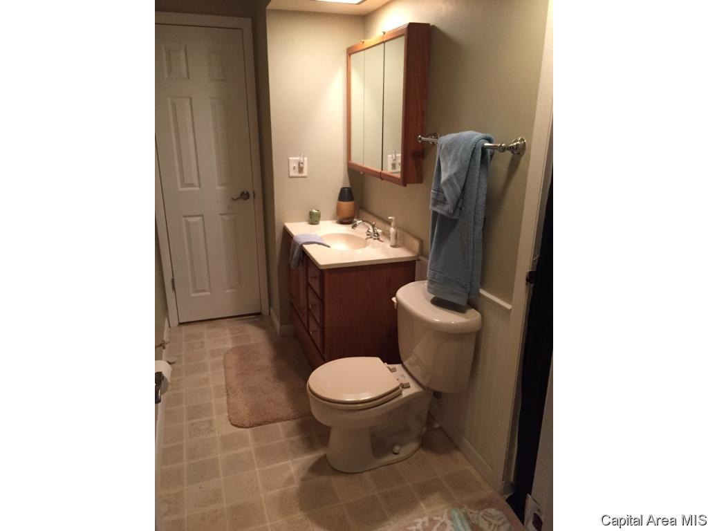 118 Collier Drive Springfield, IL 62704 - Photo 19 of 31