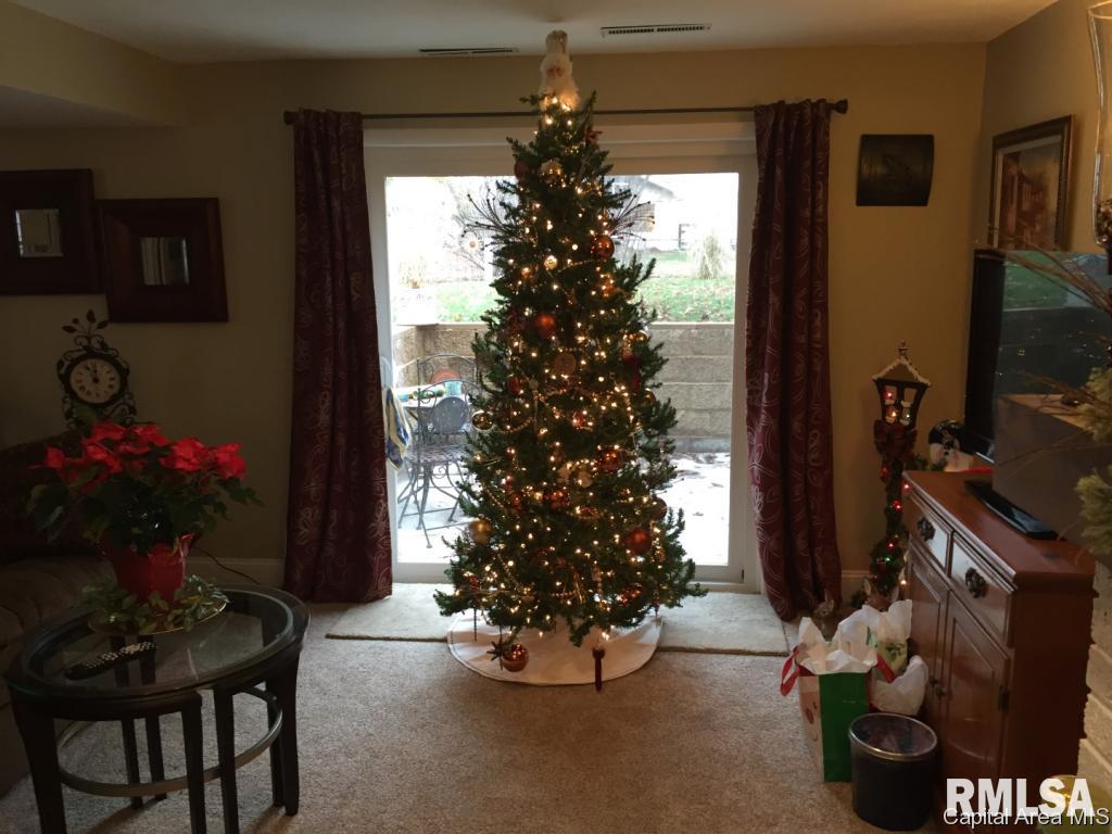 118 Collier Drive Springfield, IL 62704 - Photo 24 of 31