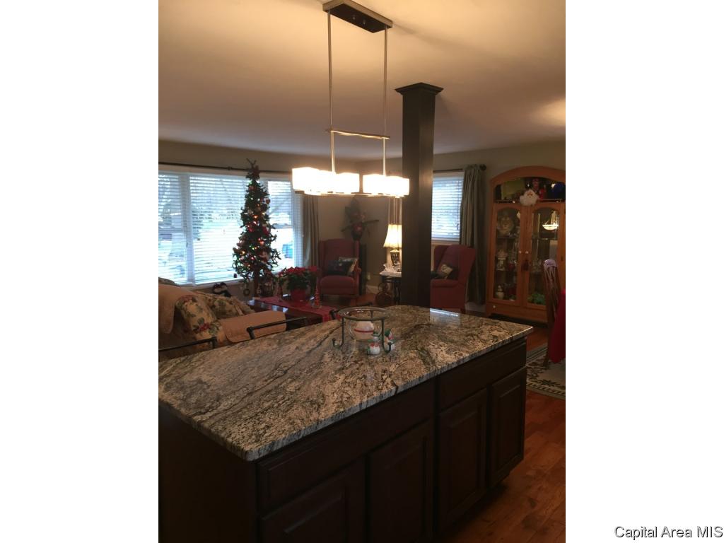 118 Collier Drive Springfield, IL 62704 - Photo 3 of 31