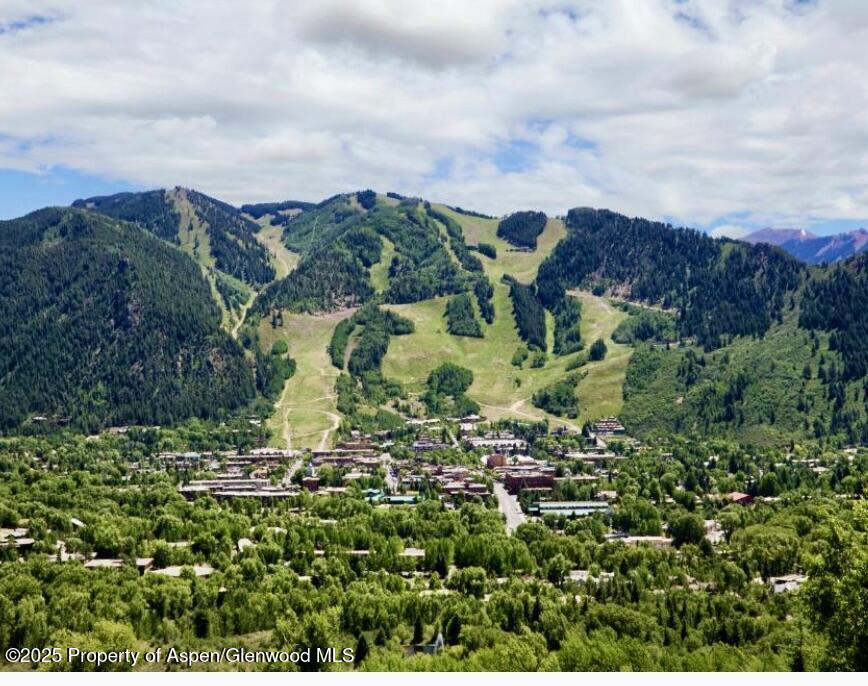 804 Hunter Creek Road Aspen, CO 81611 - Photo 2 of 31 a view of a garden with a building