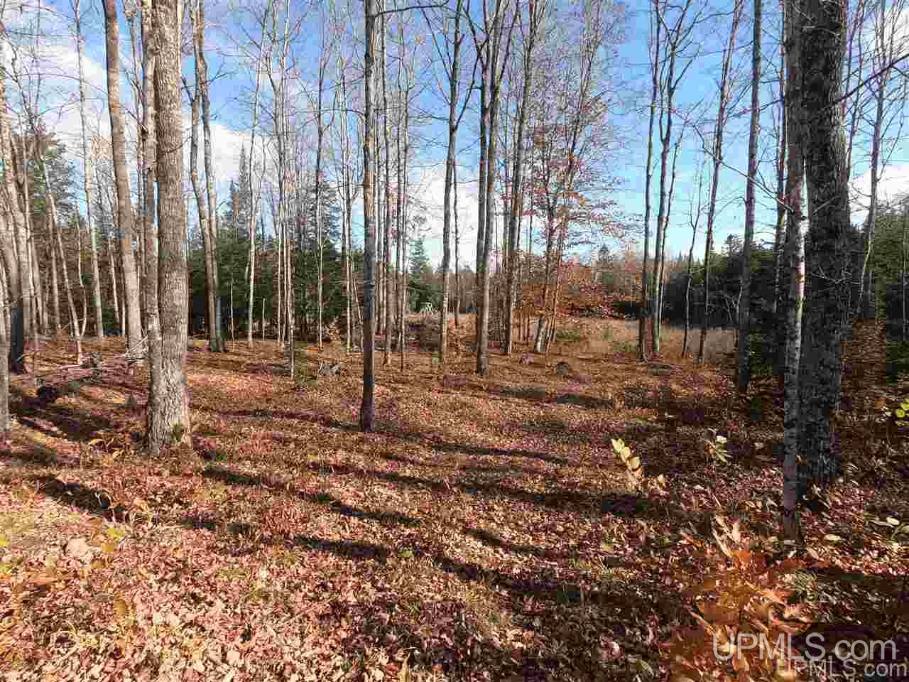 Tbd Tbd Vega Road Hermansville, MI 49847 - Photo 7 of 11