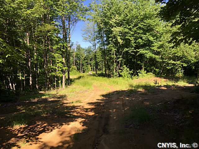 323 Bidwell Road Parish, NY 13131 - Photo 1 of 1 Exterior Front Cleared Access Road