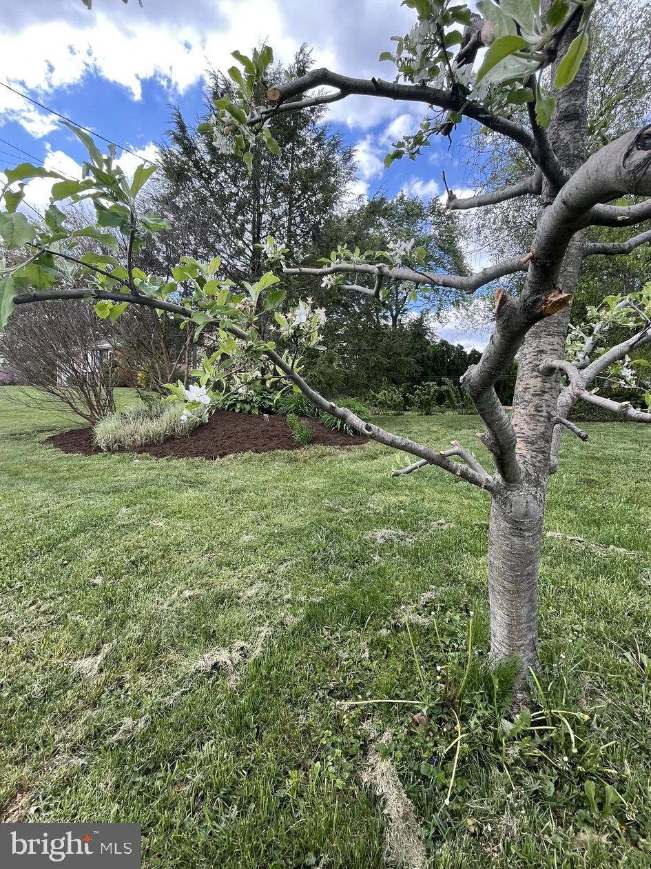 213 Tobacco Road Ephrata, PA 17522 - Photo 42 of 55