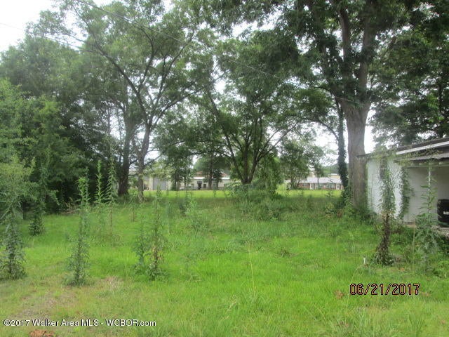 747 3rd Avenue Southwest Hamilton, AL 35570 - Photo 4 of 21 Gallery Image 4