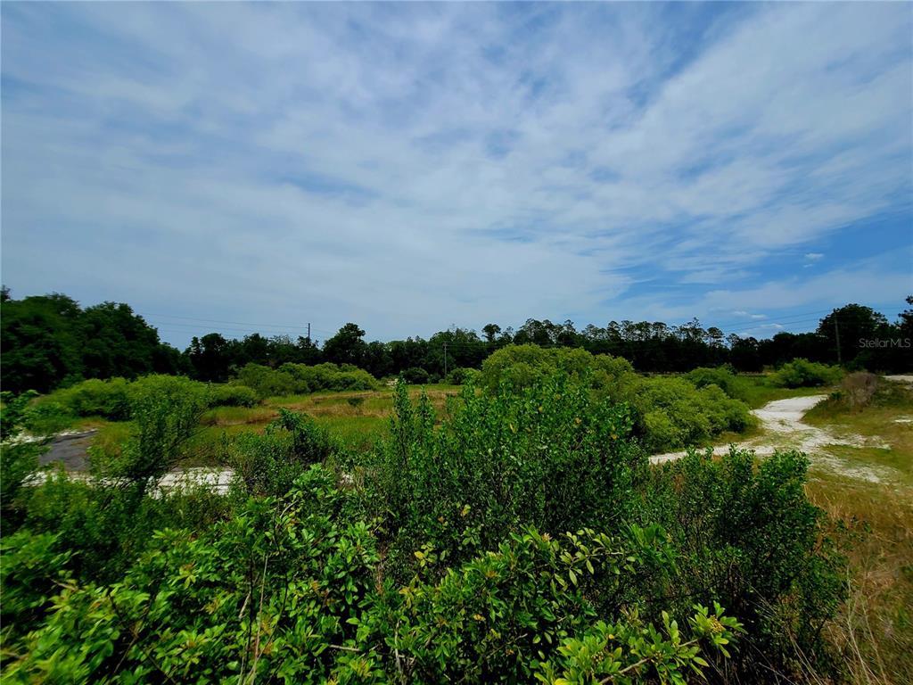a view of a lush green space with sea