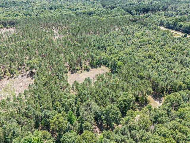 $109,000 | 7.75-acres West Scout Road, Mears, MI 49436