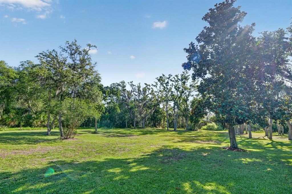 171 William Street Edgewater, FL 32141 - Photo 35 of 40 a view of a park with large trees