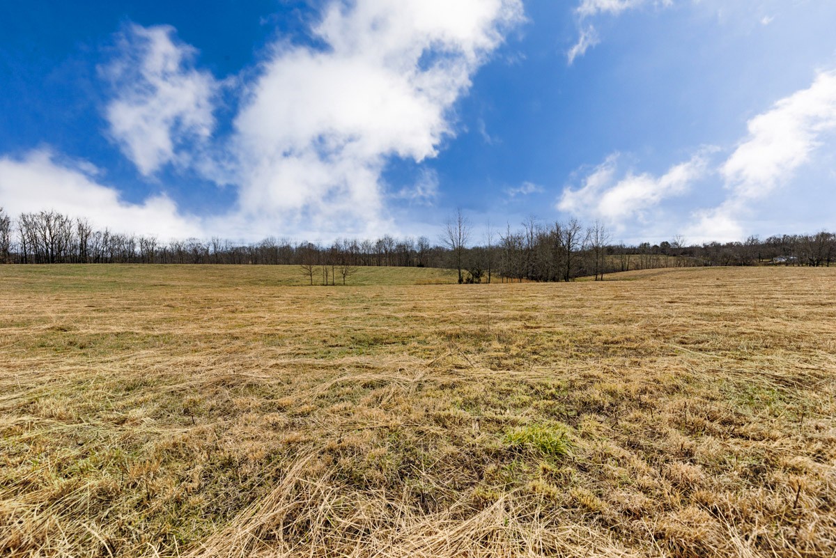 3893 A Beech Hill Road Pulaski, TN 38478 - Photo 20 of 24 Gallery Image 20