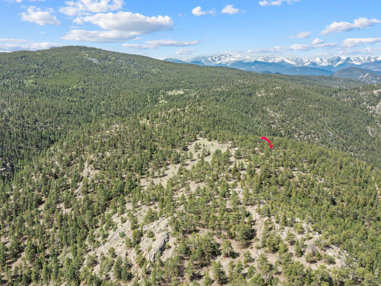 1825 Soul Shine Road Drake, CO 80515 - Photo 6 of 34