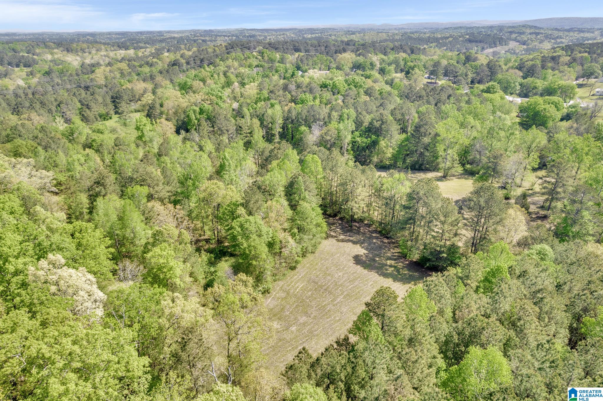 6776 New Castle Road Morris, AL 35116 - Photo 29 of 39