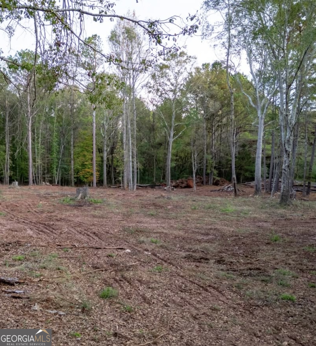 Tract 4 Seven Islands Road Madison, GA 30650 - Photo 1 of 1 Gallery Image 1