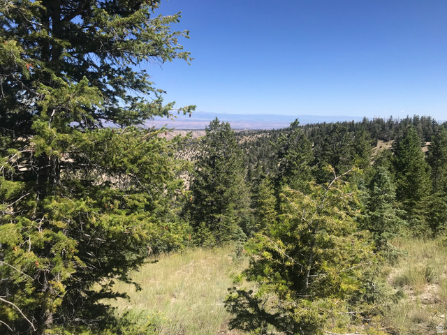 Undisclosed Address Duchesne, UT 84021 - Photo 4 of 29