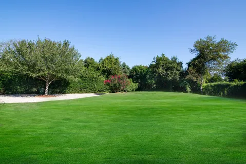 a view of a grassy field