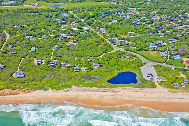a small garden covered with tall trees