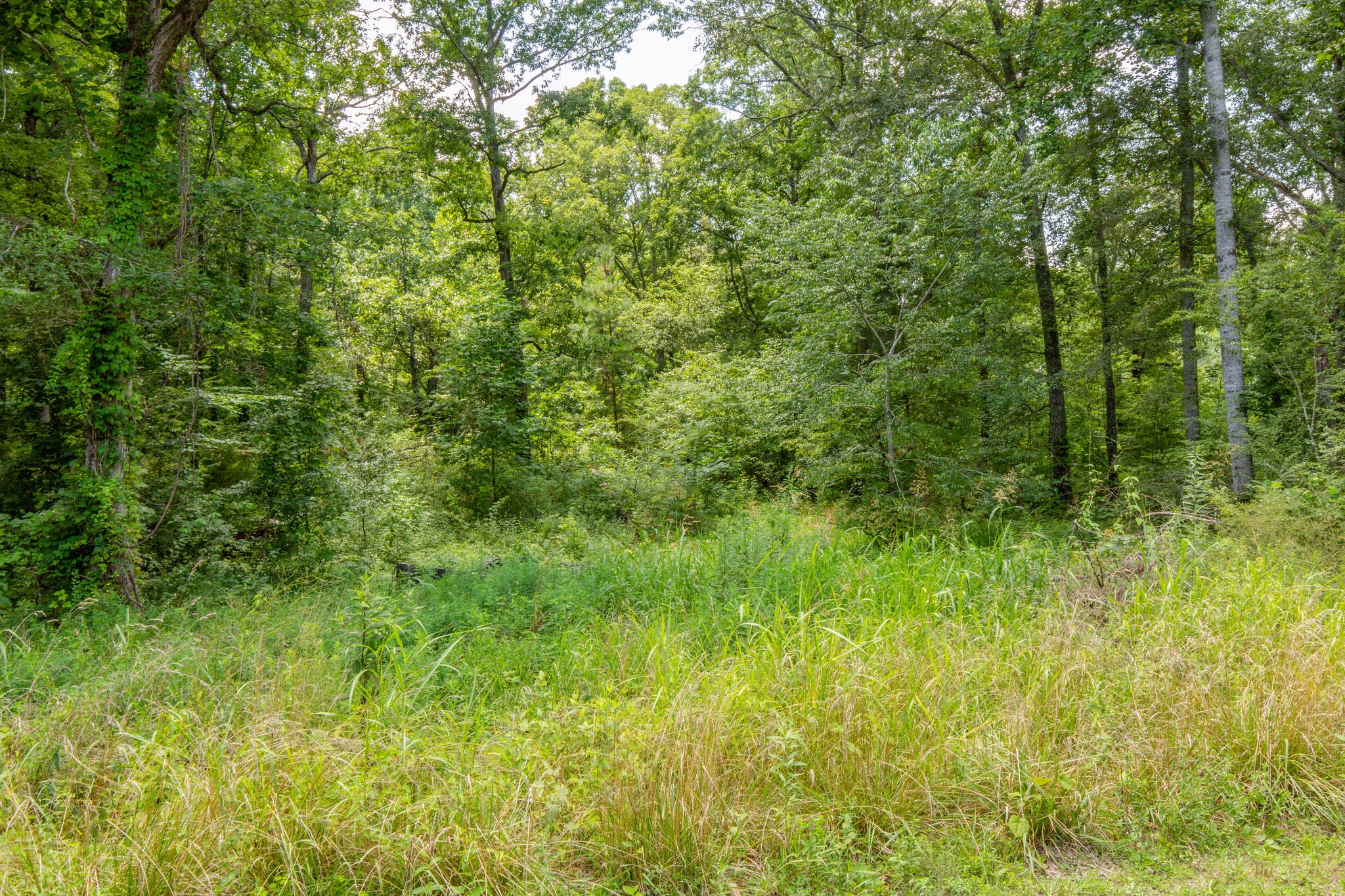 7206 Lake Road Northwest Fairview, TN 37062 - Photo 2 of 26 Gallery Image 2