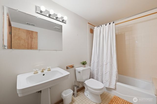 a garden with lots of trees and flowers