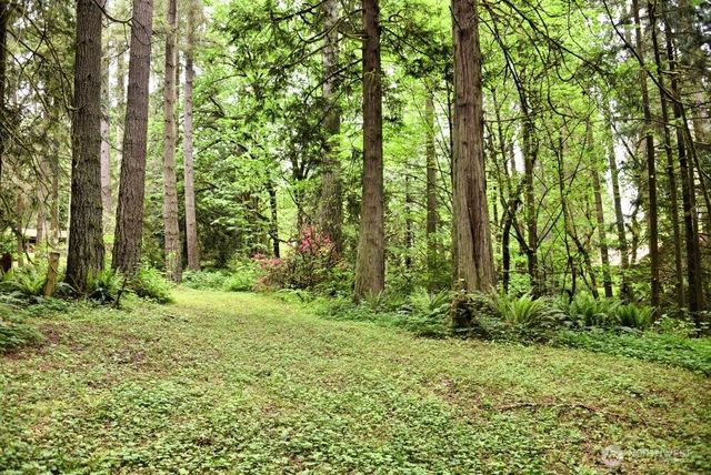 a green field with lots of trees