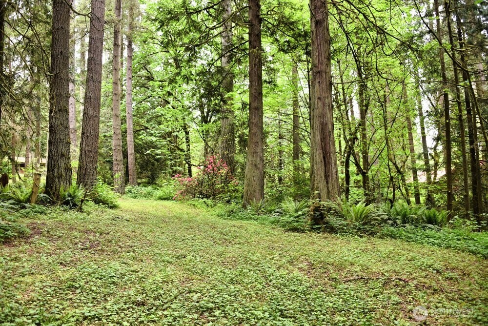 18013 West Snoqualmie Valley Road Northeast Duvall, WA 98019 - Photo 35 of 40 a view of outdoor space and green space