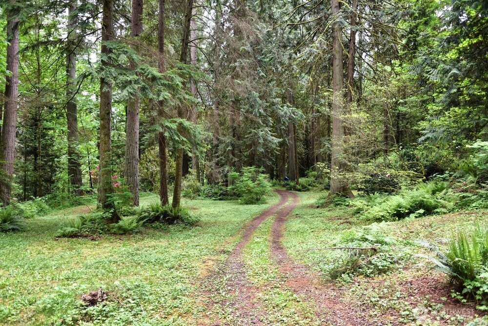 18013 West Snoqualmie Valley Road Northeast Duvall, WA 98019 - Photo 36 of 40 a green field with lots of trees