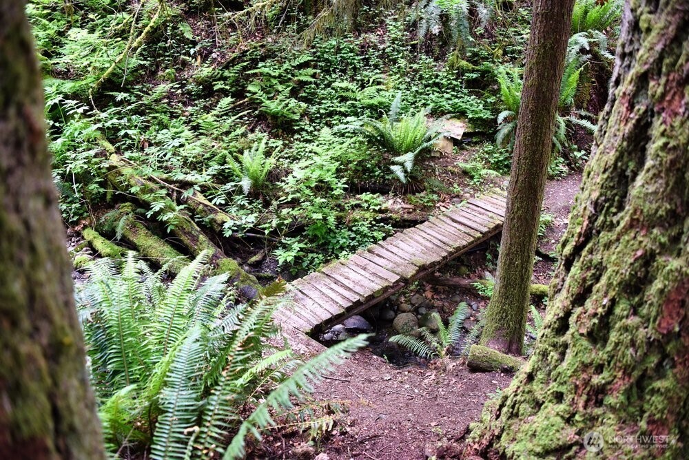 18013 West Snoqualmie Valley Road Northeast Duvall, WA 98019 - Photo 37 of 40 a view of a garden with a tree