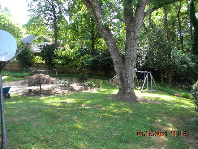 3718 Forest Road Roanoke, VA 24015 - Photo 2 of 28 forest (24)