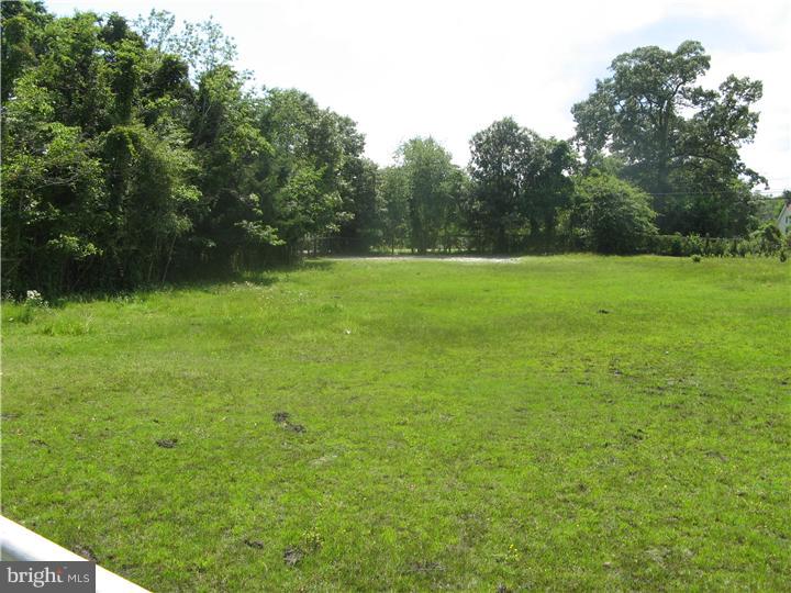 359 Magnolia Road Pemberton, NJ 08068 - Photo 9 of 12 View in Back