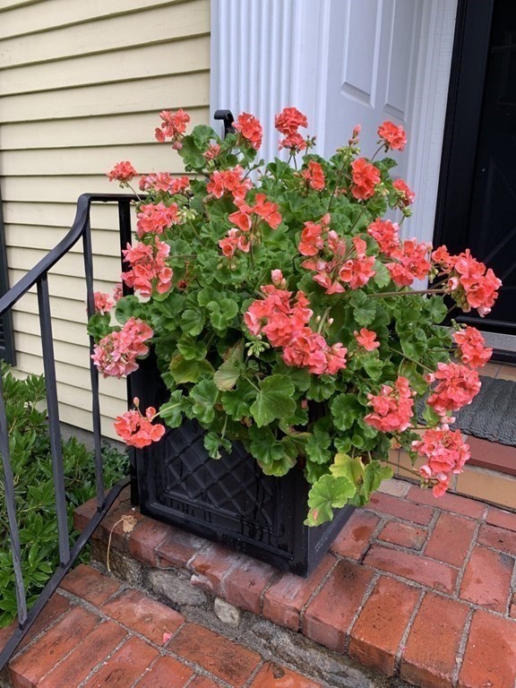 7 Monadnock Road Arlington, MA 02476 - Photo 38 of 41 Gallery Image 38