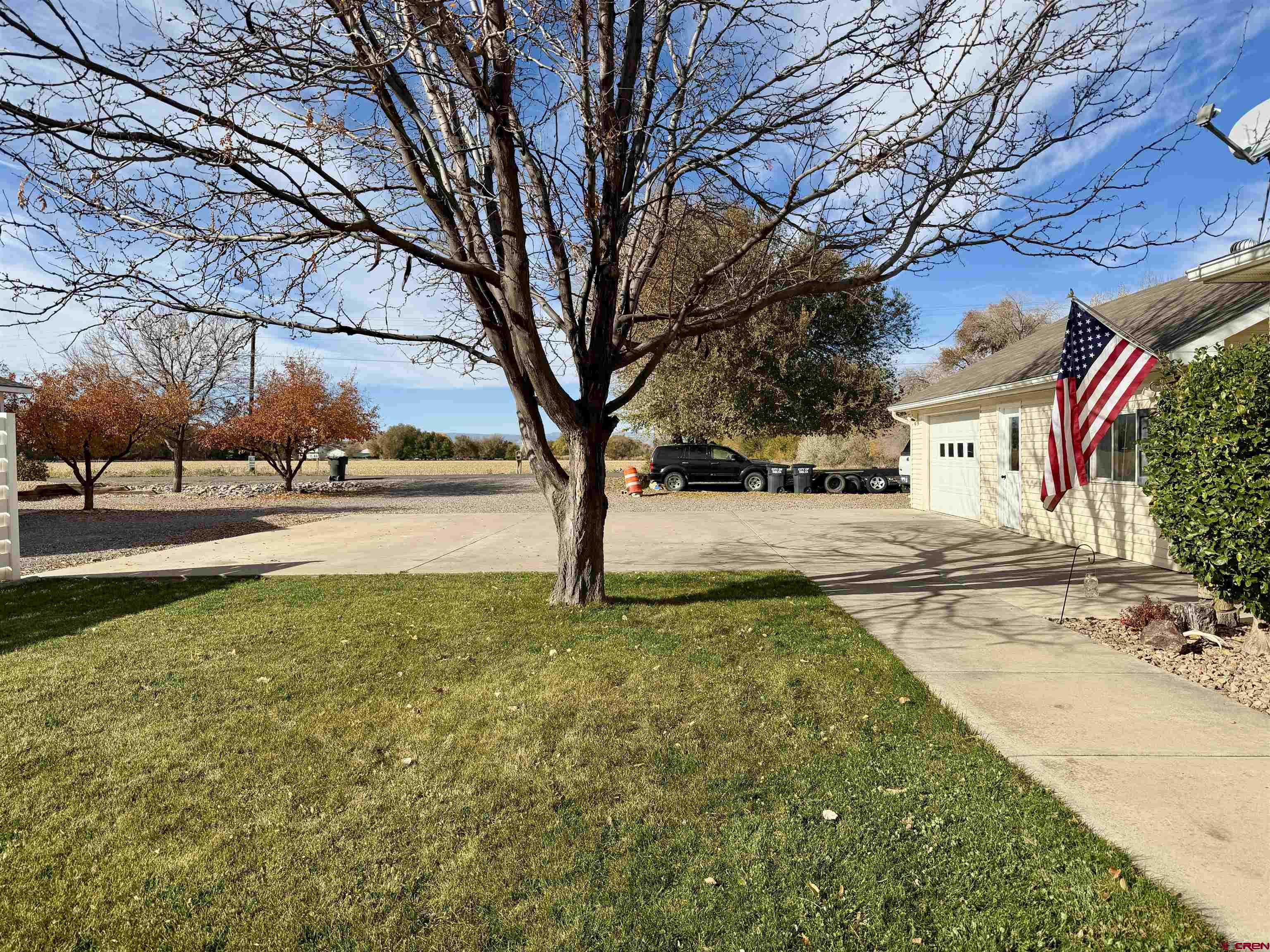 650 1725th Road Delta, CO 81416 - Photo 41 of 45 a view of yard with tree in front of it