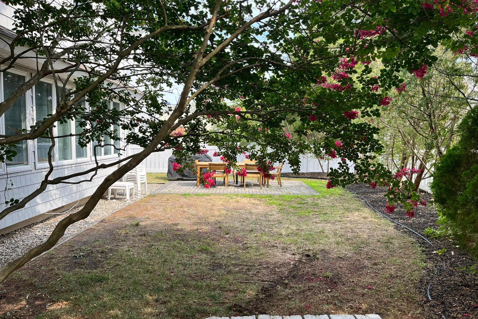 76 21st Street Avalon, NJ 08202 - Photo 16 of 18 a view of a park with large trees