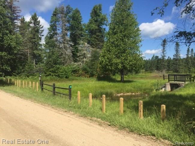 0 Teton Ridge Road Gaylord, MI 49735 - Photo 21 of 25 Gallery Image 21