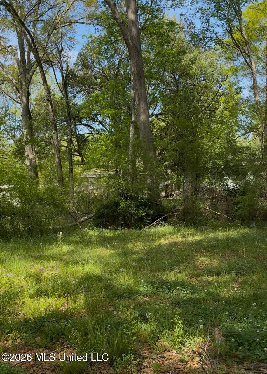1136 Killarney Street Jackson, MS 39212 - Photo 8 of 9 recent photos