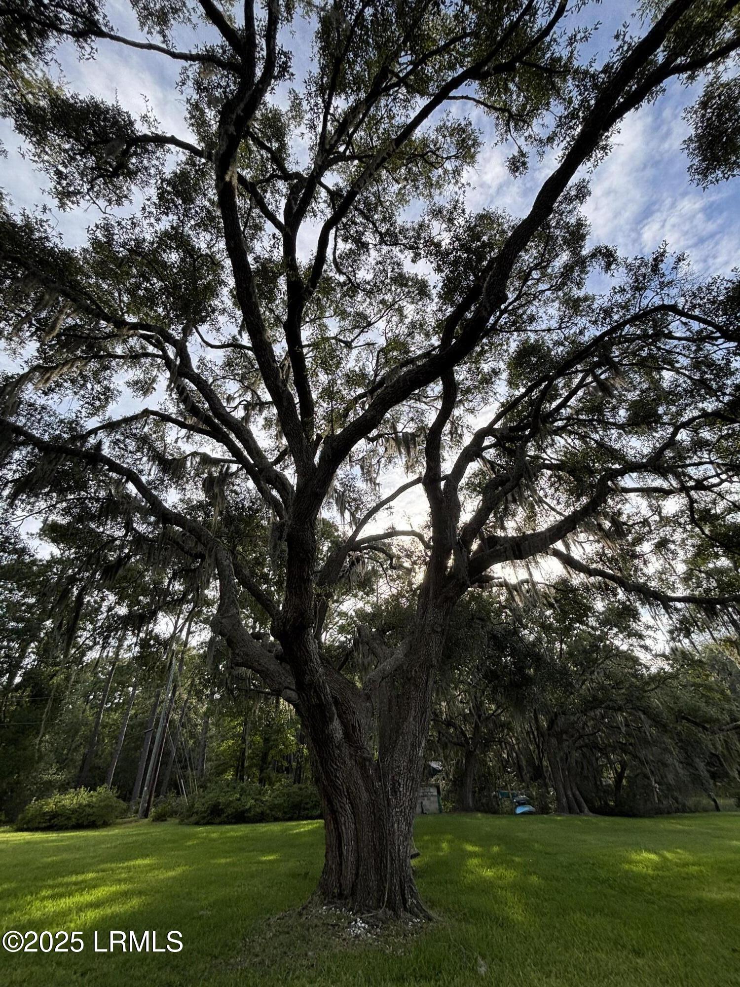 20 Cuyler Lane Seabrook, SC 29940 - Photo 15 of 30 Deepwater Homesite w/ Private Dock $525K