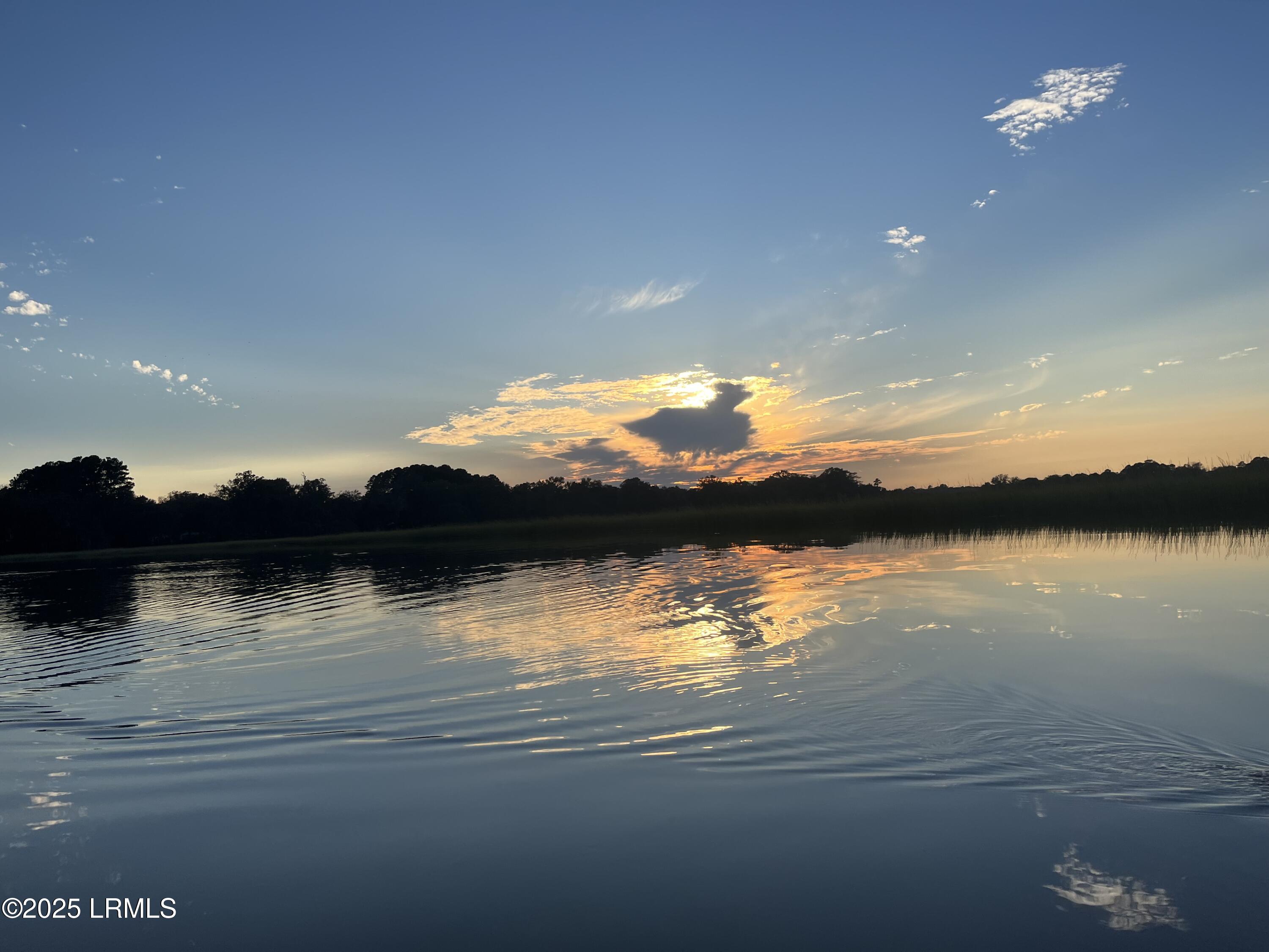 20 Cuyler Lane Seabrook, SC 29940 - Photo 19 of 30 Deepwater Homesite w/ Private Dock $525K