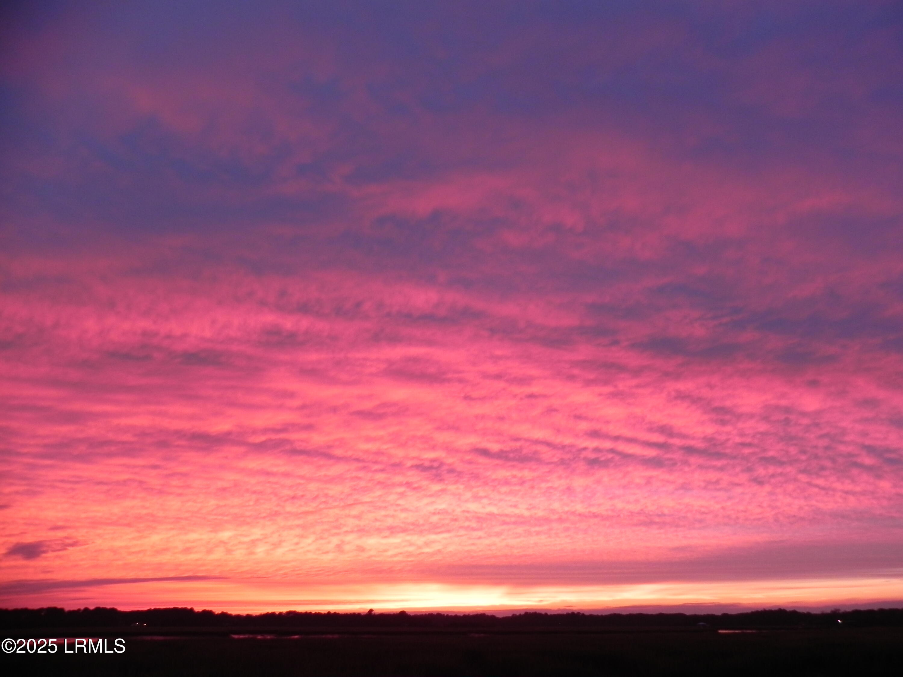 20 Cuyler Lane Seabrook, SC 29940 - Photo 20 of 30 Deepwater Homesite w/ Private Dock $525K