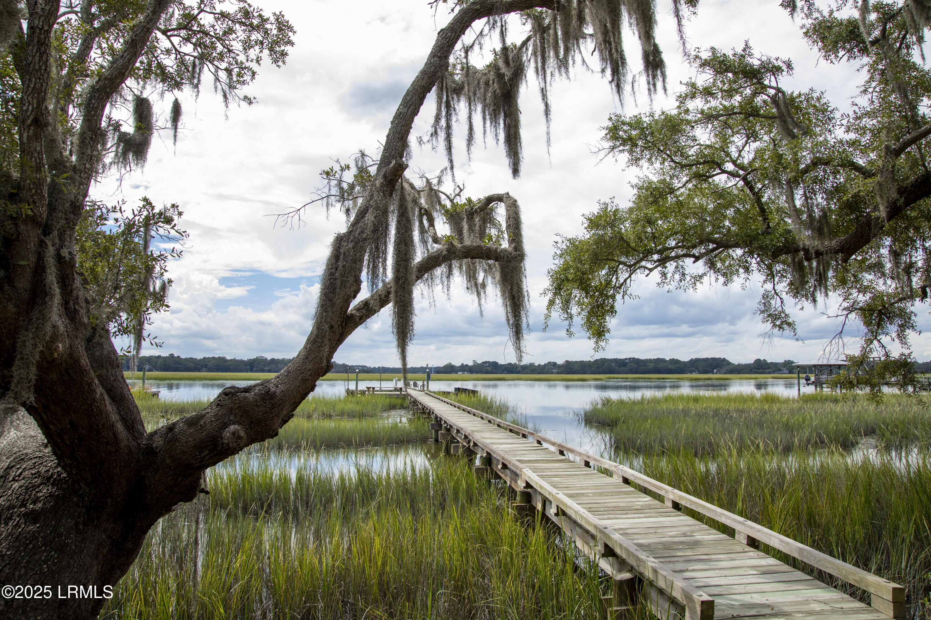 20 Cuyler Lane Seabrook, SC 29940 - Photo 2 of 30 Deepwater Homesite w/ Private Dock $525K