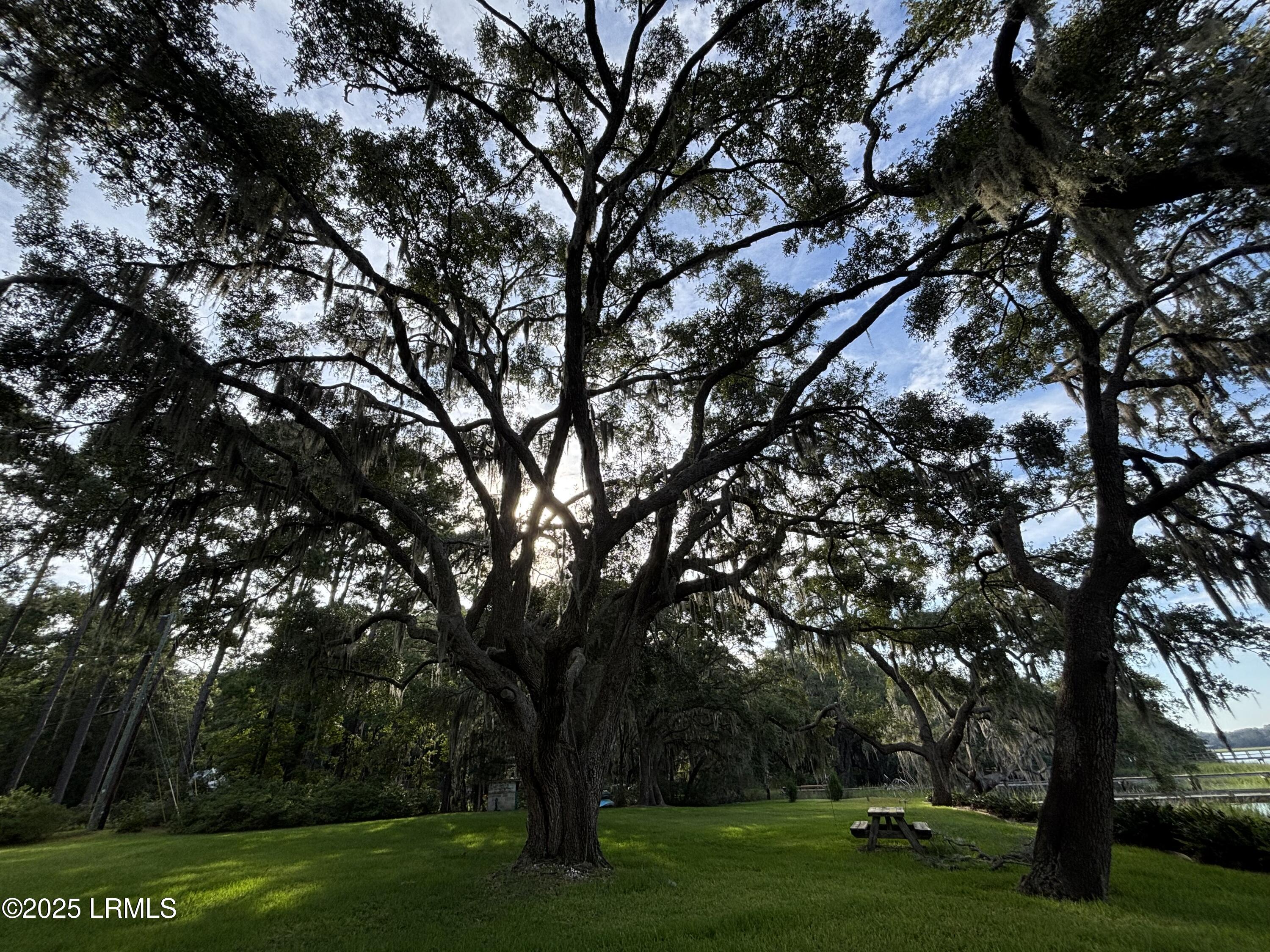 20 Cuyler Lane Seabrook, SC 29940 - Photo 24 of 30 Deepwater Homesite w/ Private Dock $525K